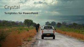  Presentation with elephant - PPT layouts featuring elephant-strolling-on-the-highway background and a light gray colored foreground