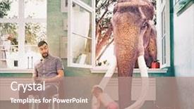  Presentation with elephant - Amazing slide set having elephant takes the child backdrop and a coral colored foreground