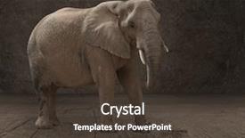  Presentation with teamwork gold chain link - Amazing PPT layouts having elephant tied up with chain backdrop and a tawny brown colored foreground