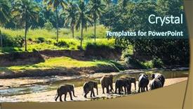  Presentation with sri lanka - Beautiful slides featuring elephants bathing in the jungle backdrop and a ocean colored foreground