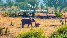  Presentation with kruger - Theme consisting of elephants becomes a road sunset in kruger national park south africa background and a teal colored foreground