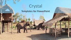  Presentation with cambodia - Beautiful slides featuring elephants-in-a-cambodian-village backdrop and a arctic colored foreground