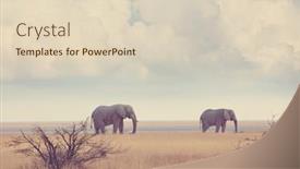  Presentation with elephants - Presentation design featuring elephants-in-african-savannah-travel background and a soft green colored foreground