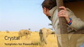  Presentation with africa safari - Audience pleasing theme consisting of elephants in kenya africa backdrop and a yellow colored foreground