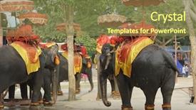  Presentation with elephants - Colorful PPT layouts enhanced with elephants in thailand backdrop and a tawny brown colored foreground