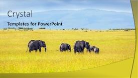  Presentation with earth animals - Slide set featuring elephants-of-the-african-savannah background and a light blue colored foreground