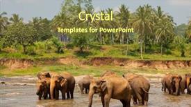  Presentation with sri lanka - Beautiful slide deck featuring elephants on sri lanka backdrop and a  colored foreground