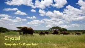  Presentation with elephants - Slide deck with elephants-serengeti-natural-park-tanzania background and a tawny brown colored foreground