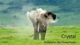  Presentation with elephants - Theme enhanced with elephants serengeti natural park tanzania background and a yellow colored foreground