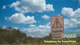  Presentation with elephants - Colorful presentation enhanced with elephants-sign-reduce-speed-80km backdrop and a tawny brown colored foreground