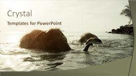  Presentation with elephants - Theme featuring elephants-swim-in-the-gulf background and a cream colored foreground