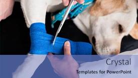  Presentation with injury - Beautiful theme featuring elevated-view-of-dog-getting backdrop and a teal colored foreground