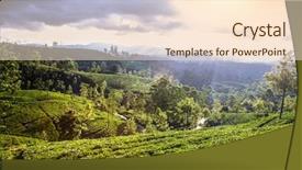  Presentation with tea plantation - Colorful presentation theme enhanced with nuwaraeliya - nuwara eliya tea plantation backdrop and a cream colored foreground