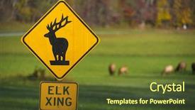  Presentation with grazing - Audience pleasing presentation theme consisting of elk crossing warning sign along backdrop and a tawny brown colored foreground