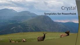  Presentation with elks - PPT layouts with elks-standing-in-front background and a light blue colored foreground