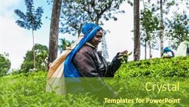  Presentation with tea leaves - 