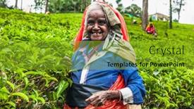  Presentation with tea leaves - 