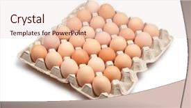  Presentation with brown - PPT layouts with ellipse - many brown eggs isolated background and a lemonade colored foreground