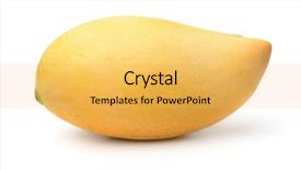  Presentation with mango fruit - Colorful slide deck enhanced with ellipse - ripe yellow mango fruit isolated backdrop and a yellow colored foreground