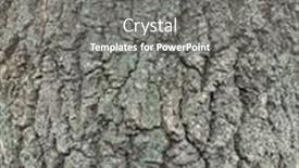  Presentation with pattern - PPT theme featuring embossed-texture-of-the-bark background and a gray colored foreground