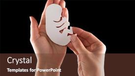  Presentation with embryo - Colorful PPT theme enhanced with embryo-silhouette-in-woman-hand backdrop and a tawny brown colored foreground