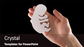  Presentation with embryo - Audience pleasing slides consisting of embryo-silhouette-in-woman-hand backdrop and a dark gray colored foreground