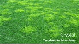  Presentation with light green - Slide set with emergancy - troublesome annual bluegrass light green background and a forest green colored foreground