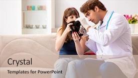  Presentation with vet - Amazing presentation theme having emergency veterinary - vet doctor visiting sick kittens backdrop and a soft green colored foreground