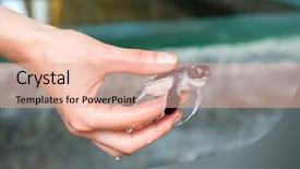  Presentation with hatchery - Presentation design consisting of hatchery - female hand holding newborn turtle background and a lemonade colored foreground