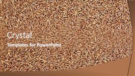  Presentation with wheat - Presentation theme enhanced with emmer-farro-wheat-grain-forming background and a  colored foreground