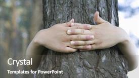  Presentation with emotion - Beautiful presentation design featuring emotion nature - closeup of hands embracing tree backdrop and a dark gray colored foreground