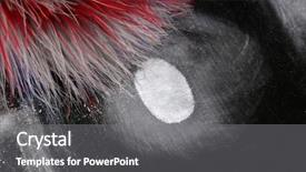  Presentation with fingerprints - Audience pleasing slide set consisting of empreinte digitale - taking fingerprints isolated on black backdrop and a gray colored foreground