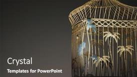  Presentation with birdcage - PPT theme with empty birdcage with feathers over colored background background and a dark gray colored foreground
