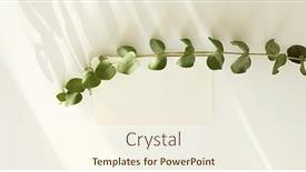  Presentation with eucalyptus - Slide deck featuring empty-blank-texture-canvas-paper background and a cream colored foreground