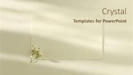  Presentation with text message - Presentation with empty-blank-texture-canvas-paper background and a soft green colored foreground