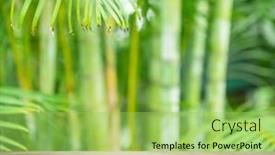  Presentation with empty - Theme enhanced with empty-board-or-table-top background and a yellow colored foreground