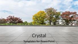  Presentation with brick - Colorful slide deck enhanced with empty brick floor near park backdrop and a light gray colored foreground