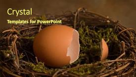  Presentation with broken egg - Theme featuring empty-broken-egg background and a tawny brown colored foreground