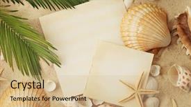  Presentation with beach frame - Amazing PPT theme having empty card and seashells backdrop and a lemonade colored foreground