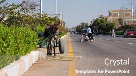  Presentation with kings - PPT layouts enhanced with empty donkey cart alongside road in valley of kings egypt background and a coral colored foreground