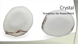  Presentation with silkworm - Amazing PPT theme having of silkworm - bombyx mori backdrop and a white colored foreground