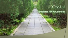  Presentation with empty - Presentation consisting of empty-flagstones-sidewalk-with-coniferous background and a tawny brown colored foreground