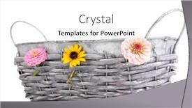 Presentation with empty - Audience pleasing PPT theme consisting of empty-grey-basket-isolated backdrop and a white colored foreground