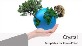  Presentation with growing tree - Presentation design with empty hand open against tree background and a white colored foreground