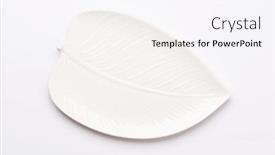  Presentation with white plate - Presentation featuring empty-leaf-shaped-plate background and a white colored foreground