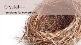  Presentation with jesus empty tomb - Colorful PPT theme enhanced with empty nest isolated on white backdrop and a coral colored foreground