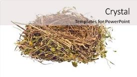  Presentation with building construction - Presentation theme having empty nest of a bird background and a light gray colored foreground