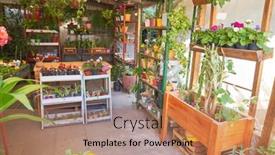  Presentation with nursery - PPT theme with empty-nursery-flower-shop background and a coral colored foreground