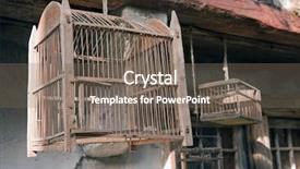  Presentation with birdcage - Cool new PPT theme with empty old wood birdcage backdrop and a gray colored foreground