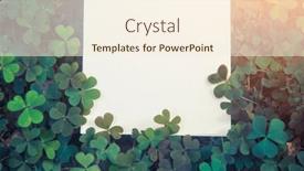  Presentation with clover - Presentation enhanced with empty-paper-vecrtical-white-list background and a cream colored foreground